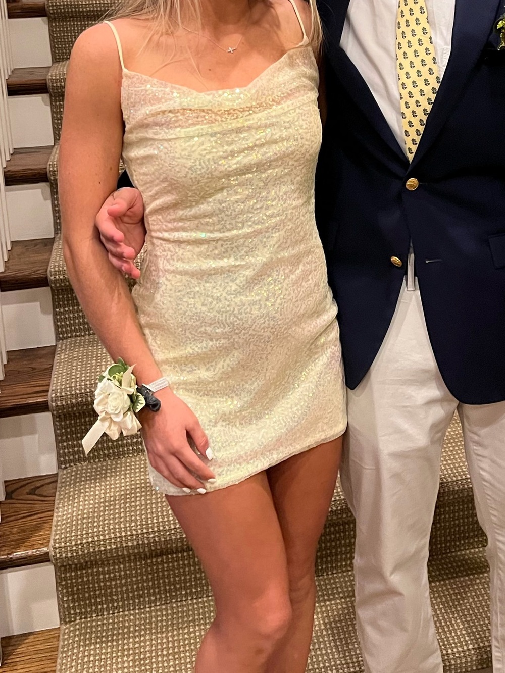 Lucy in the Sky Iridescent Cream Sequin Slip